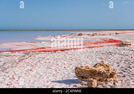 Salamoia e sale di un lago rosa Koyash colorato da microalghe Dunaliella salina, famosa per le sue proprietà antiossidanti, arricchendo l'acqua dal beta-carotene Foto Stock