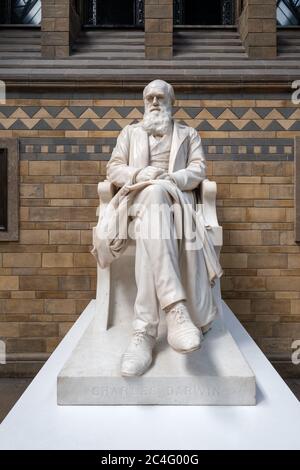 Statua di Charles Darwin al Museo di Storia Naturale di Londra Foto Stock