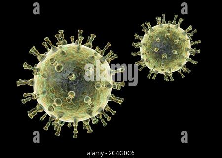 Computer illustrazione di un virus di varicella zoster particella, la causa della varicella e herpes zoster. Il virus della varicella zoster è noto anche come virus di herpes umano di tipo 3 (HHV-3). Foto Stock