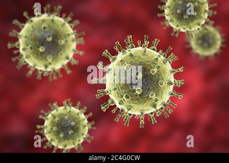 Computer illustrazione di un virus di varicella zoster particella, la causa della varicella e herpes zoster. Il virus della varicella zoster è noto anche come virus di herpes umano di tipo 3 (HHV-3). Foto Stock