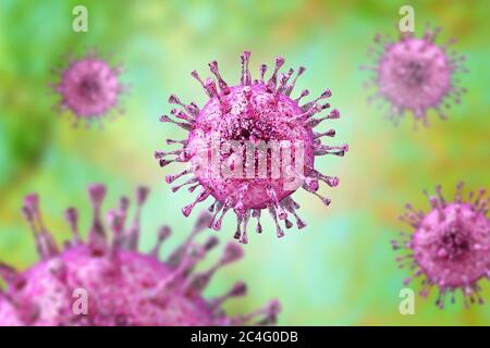 Il citomegalovirus umano (HCMV), computer illustrazione. HCMV è un membro della famiglia di herpes virus. Ha un alto tasso di infezione ed è una delle principali cause di malattia in vulnerabile neonati e pazienti immunocompromessi, ma normalmente non causa la malattia negli adulti sani. Foto Stock