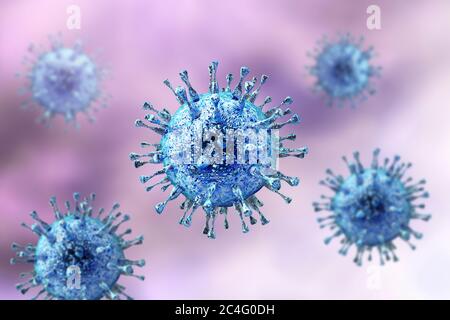 Il citomegalovirus umano (HCMV), computer illustrazione. HCMV è un membro della famiglia di herpes virus. Ha un alto tasso di infezione ed è una delle principali cause di malattia in vulnerabile neonati e pazienti immunocompromessi, ma normalmente non causa la malattia negli adulti sani. Foto Stock