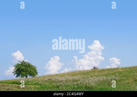 Trattore sul campo di montagna falciando erba per fare fieno e un albero solitario Foto Stock