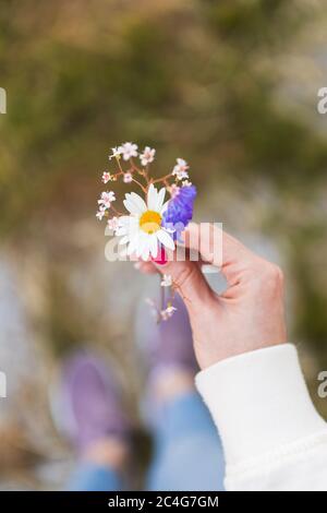 Primo piano. La ragazza tiene i fiori selvatici in una mano Foto Stock