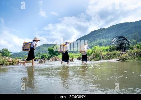Comune di Kha Cuu, distretto di Tan Son, provincia di Phu Tho, Vietnam - 28 maggio 2020: Le donne etniche trasportano i cestini pieni di mais attraverso i flussi Foto Stock