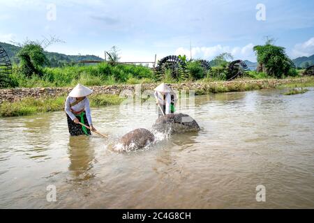 Comune di Kha Cuu, distretto di Tan Son, provincia di Phu Tho, Vietnam - 28 maggio 2020: Le donne etniche pescano il pesce in ruscelli Foto Stock