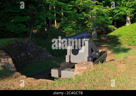 Darling Fort a Richmond Battlefield, Richmond, Virginia, Stati Uniti Foto Stock