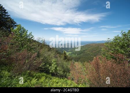 Paesaggio nella Germania meridionale, in schauinsland, vicino a friburgo in Breisgau. Foto Stock