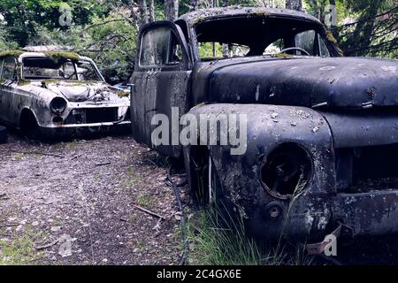 Le automobili abbandonate nella foresta formano un cimitero di automobile. Foto Stock