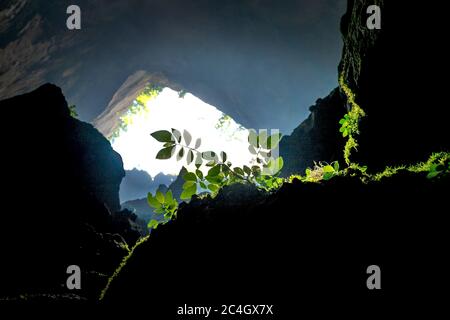 L'ingresso di una grotta a Moc Chau, provincia di Son la, Vietnam Foto Stock