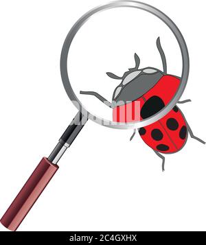 Ladybug al microscopio. Ladybird su sfondo bianco. Icona carino ladybug cartoon. Illustrazione Vettoriale