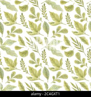 Motivo senza cuciture acquerello con foglie verdi sullo sfondo chiaro. Immagine acquerello brillante. Foto Stock