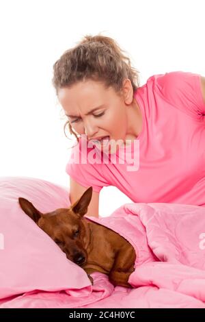 ragazza nervosa gridando al suo cane piccolo che sta dormendo nel suo letto Foto Stock