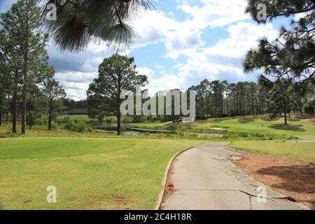 Percorso cart che si snoda attraverso un campo da golf con erba verde, alberi e sfondo blu cielo Foto Stock