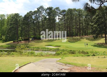 Percorso cart che si snoda attraverso un campo da golf con erba verde, alberi e sfondo blu cielo Foto Stock
