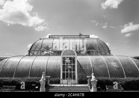 Vista frontale del Palm House Conservatory in bianco e nero Foto Stock