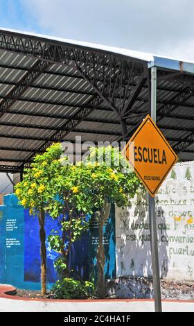 Scuola, Puerto Ayora, isola di Santa Cruz, isole Galapagos, Ecuador Foto Stock