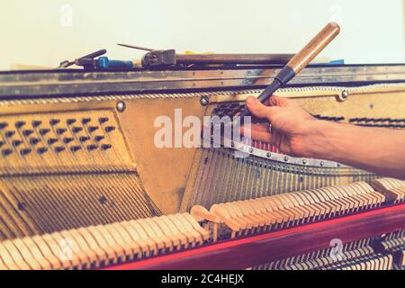 Processo di sintonizzazione del pianoforte. Primo piano della mano e strumenti di sintonizzazione che lavorano al pianoforte a coda. Vista dettagliata di piano verticale durante una sintonizzazione Foto Stock