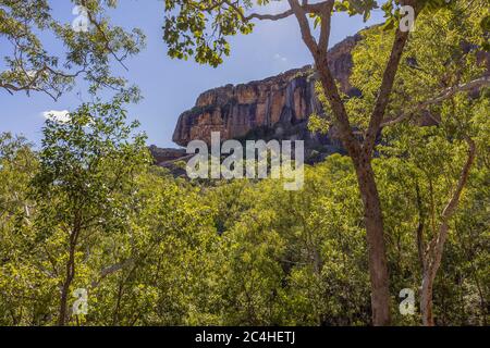 Burrungkuy, Australia - 12 marzo 2020: Le scogliere di Burrungkuy come visto attraverso la foresta pluviale australiana Foto Stock