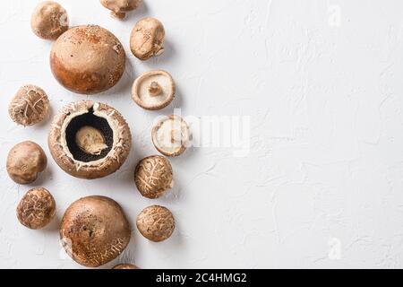 Shiitake e funghi portobello su sfondo bianco. Spazio di visualizzazione superiore per il testo Foto Stock