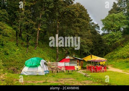 Tende da campeggio nella foresta, Passo Jalori, Valle Tirthan, Himachal Pradesh, India Foto Stock