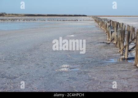 Luogo di produzione di sale marino alimentare - grande pianta Foto Stock