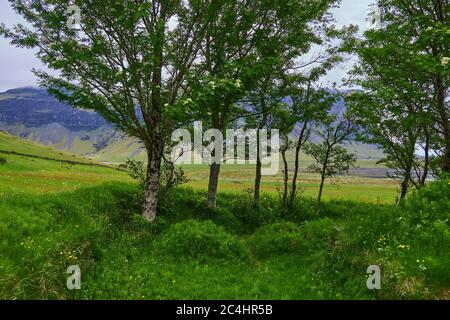 Nupsstadur, pittoresca vecchia fattoria nel sud-est dell'Islanda Foto Stock