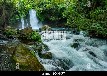 Hermon Stream - Rio delle Banie- ahal Hermon conosciuto anche come Nahal Banias è un fiume delle alture del Golan. E' l'più orientale dei tre principali nord Foto Stock