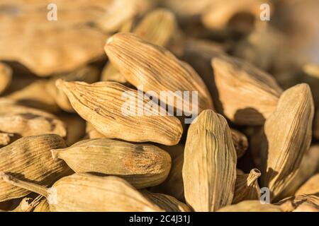 Macro shot closeup di cardamomo secchi Foto Stock