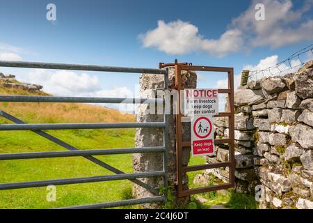 Vista dettagliata dei cartelli di avvertimento all'ingresso a destra della strada nelle Yorkshire Dales. Gli escursionisti del cane devono tenere i cani sui cavi per evitare di spaventare le mucche. Foto Stock