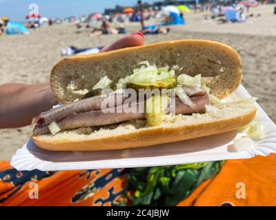 Primo piano di un tipico rotolo di pane olandese isolato con aringhe fresche, gherkin, senape e cipolle. Sfondo della spiaggia sfocato. (focus sul centro) Foto Stock