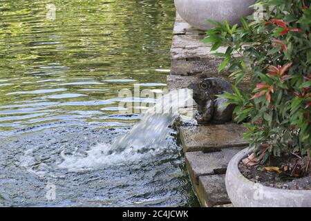 Rana che sputano fuori fontana d'acqua. Fontana a forma di una statua di rana, Bali, Ubud Foto Stock