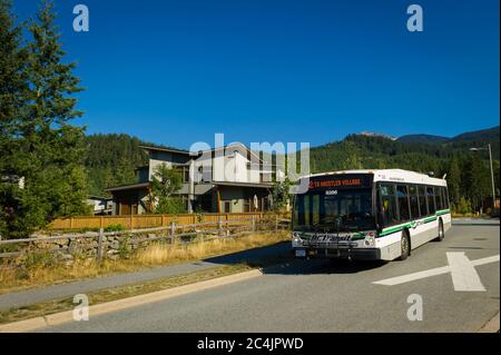 Whistler, BC, Canada: Autobus di transito di Whistler a Cheakamus Crossing – Stock Photo Foto Stock