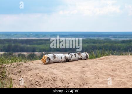 Betulla tagliata ramo su sabbia con vista sfocata lontana. Kitsevka deserto di sabbia collinare in Ucraina, regione del Kharkiv paesaggio Foto Stock