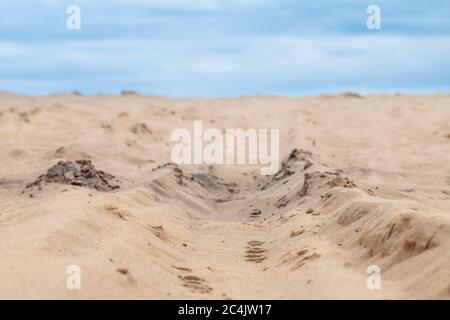 Stampa della protezione ruota per auto con dune di sabbia. Natura da vicino con sfondo cielo nuvoloso. Contrassegni pneumatici. Cingoli di pneumatici testurizzati su closeup di sabbia Foto Stock