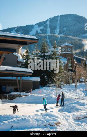 Una donna taglia legna con una motosega. Whistler BC, Canada Foto stock -  Alamy