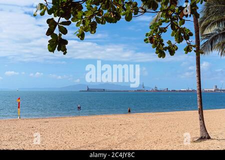 Una donna che si addona in acqua con una bandiera salvavita sulla spiaggia sullo sfondo di un molo industriale, incorniciato da un albero Foto Stock