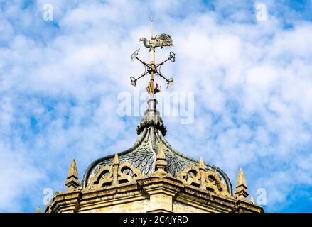 La paletta del vento del gallo sul tetto di Viceregal Lodge Shimla, India Foto Stock