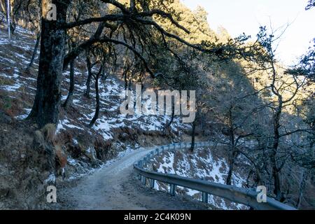 Una lunga escursione al Resort Agyaat Vaas, vicino alla vetta hatu, strada coperta di neve, HATU Peak, Narkanda, Himachal Pradesh, India Foto Stock