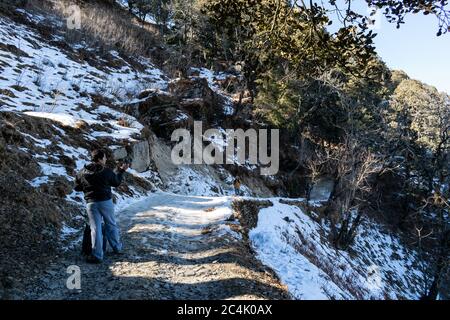 Una lunga escursione al Resort Agyaat Vaas, vicino alla vetta hatu, strada coperta di neve, HATU Peak, Narkanda, Himachal Pradesh, India Foto Stock