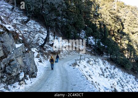 Una lunga escursione al Resort Agyaat Vaas, vicino alla vetta hatu, strada coperta di neve, HATU Peak, Narkanda, Himachal Pradesh, India Foto Stock