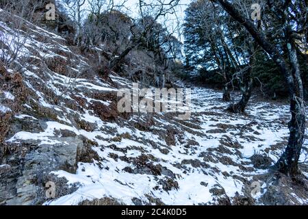 Piste innevate, HATU Peak, Narkanda, Himachal Pradesh, India - una vista sul lato della strada mentre trekking a Agyaat Vaas Resort Foto Stock