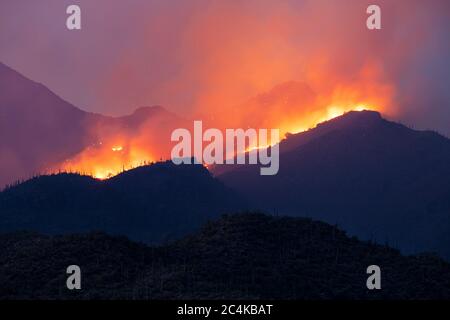 Bighorn Fire infuria nelle montagne di Santa Catalina vicino a Esperero e Sabino Canyon, Tucson, Arizona, USA Foto Stock
