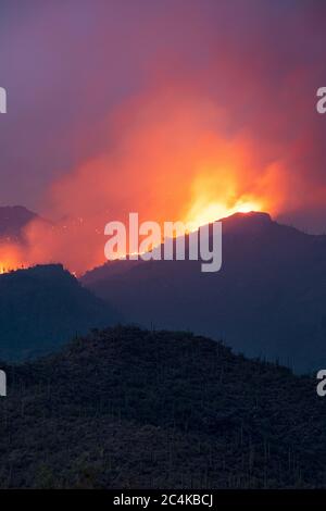 Bighorn Fire infuria nelle montagne di Santa Catalina vicino al Sabino Canyon, Tucson, Arizona, USA Foto Stock