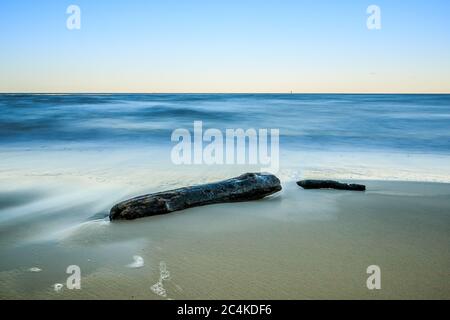 Spiaggia baltica con due vecchi tronchi di alberi. Spiaggia di sabbia con piccole onde la sera. Umore autunnale sull'isola di Rügen con cielo blu all'orizzonte Foto Stock