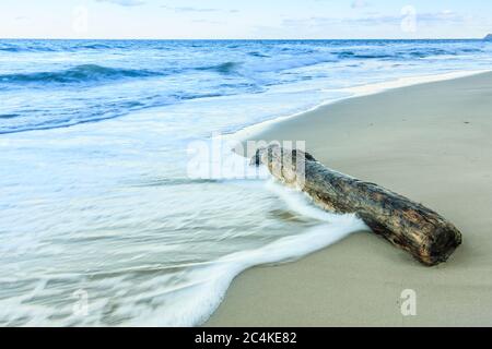 Singolo vecchio tronco su una spiaggia di sabbia sul Mar Baltico. Costa del Mar Baltico sull'isola di Ruegen in serata con nuvole e orizzonte blu. Onde delicate Foto Stock