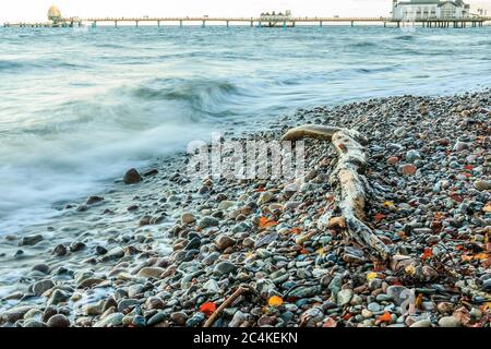 Costa sassosa sull'isola di Ruegen. Costa baltica con molo sullo sfondo. La luce si rigonzola con il vecchio tronco d'albero sulla costa e le foglie di umore autunnale Foto Stock