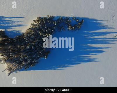 Vista dall'alto di un paesaggio innevato parzialmente coperto alberi densi Foto Stock