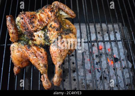 Pollo barbecue l'uccello statchcoccato ha la spina dorsale rimossa questo permette che sia sparso fuori aperto come libro che lo fa cuocere rapidamente e uniformemente Foto Stock