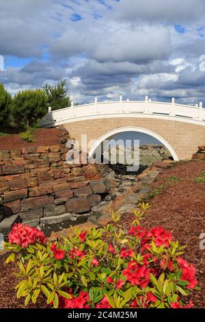 Parco di riconciliazione cinese, Tacoma, Stato di Washington, Stati Uniti Foto Stock